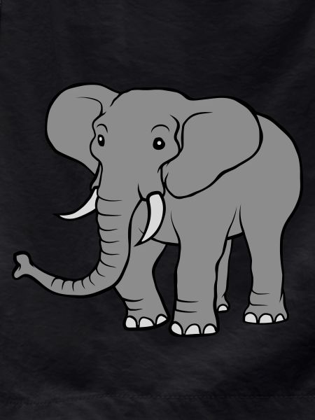 Large grey elephant