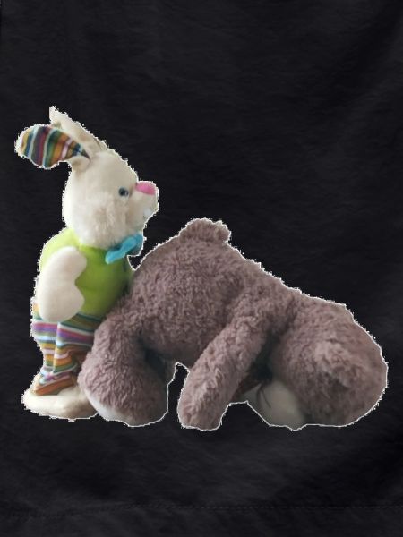 Teddy Bear Bunny