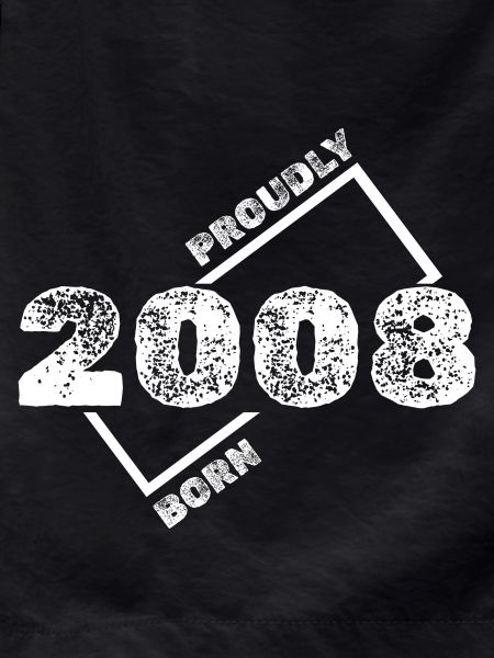 2008 2008