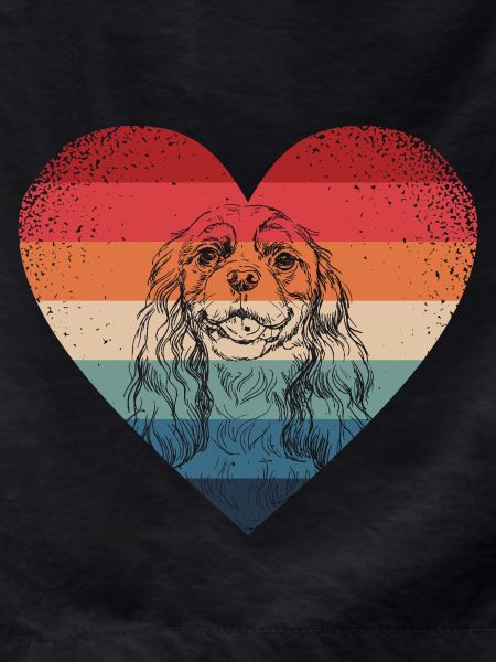 Cavalier King Charles Spaniel