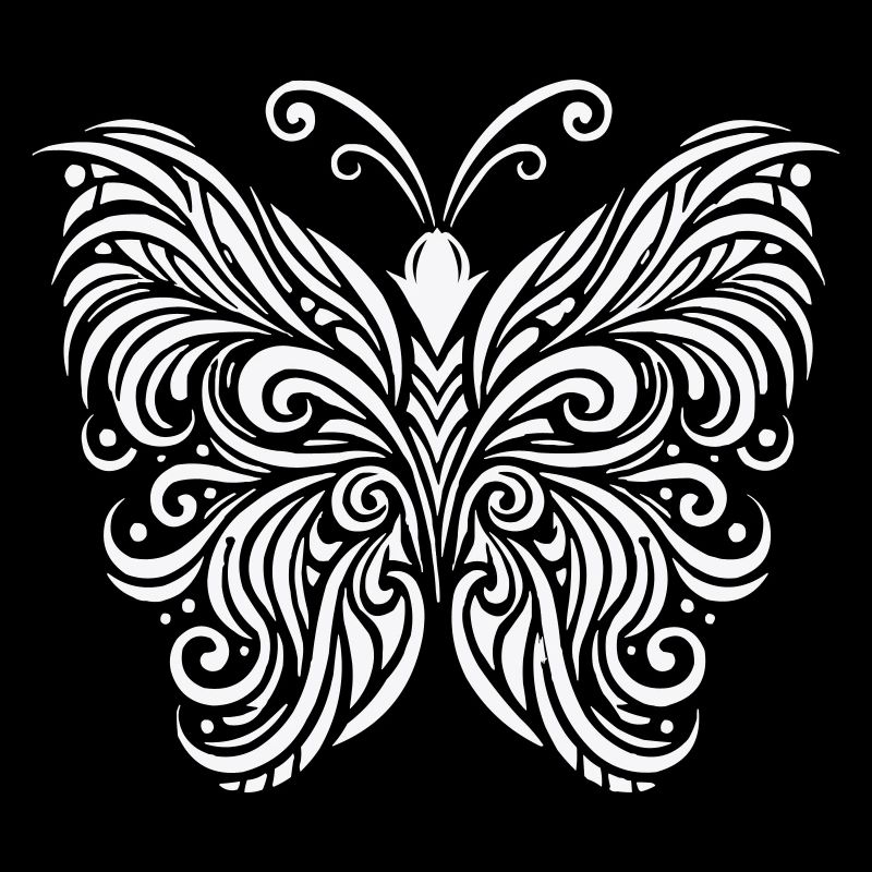 butterfly Butterfly