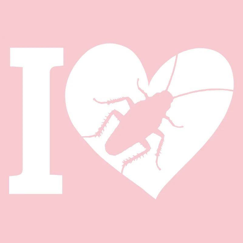 insecte cafard