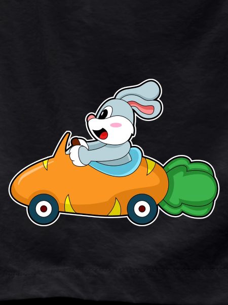 Rabbit Car
