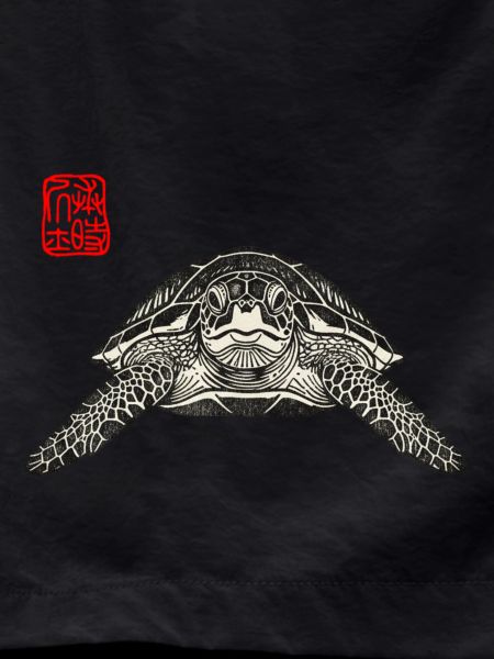 Schildkröte Asiatisch