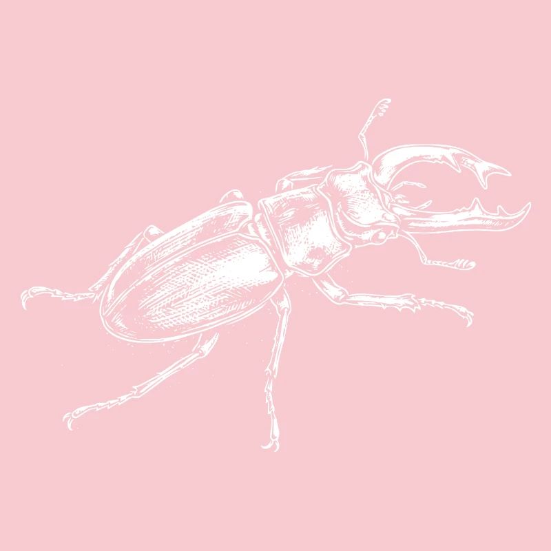 Conception de gros insectes