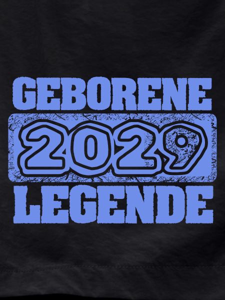 2029