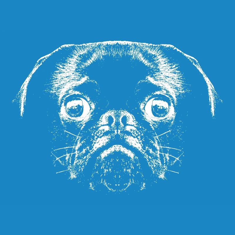 Pug / Face / Head
