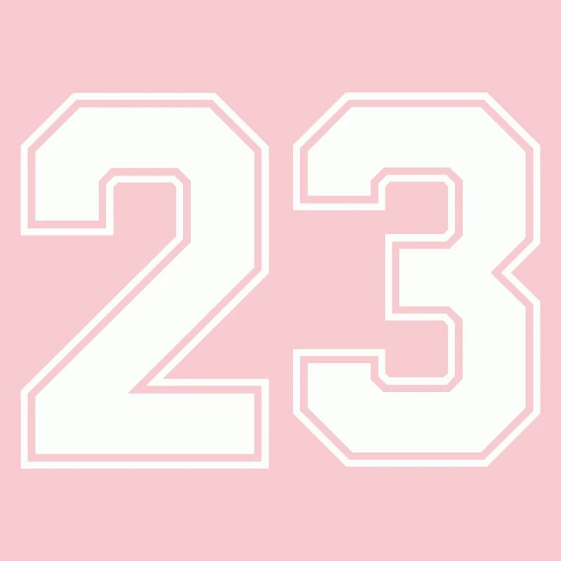 Geometric Number Design 23