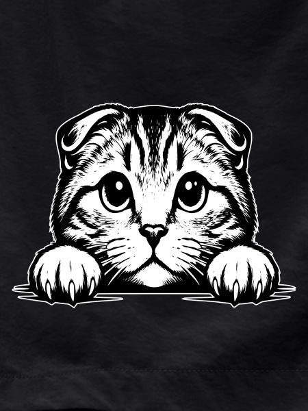 Scottish Fold-eared Cat with Paws