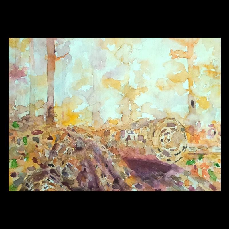 Paysage aquarelle forestier automne