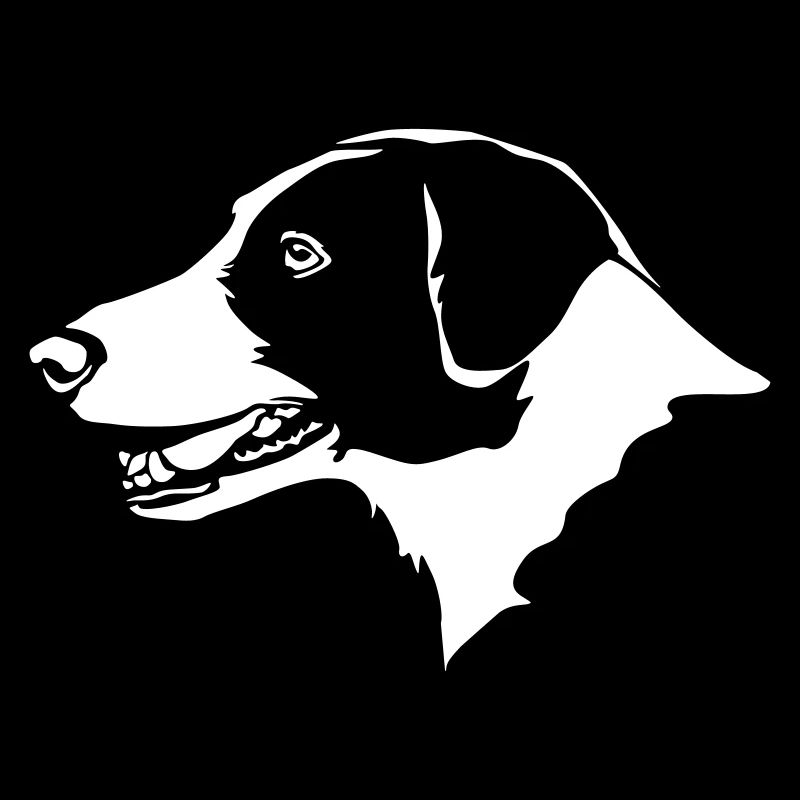 Border Collie Kopf "Black Edition"