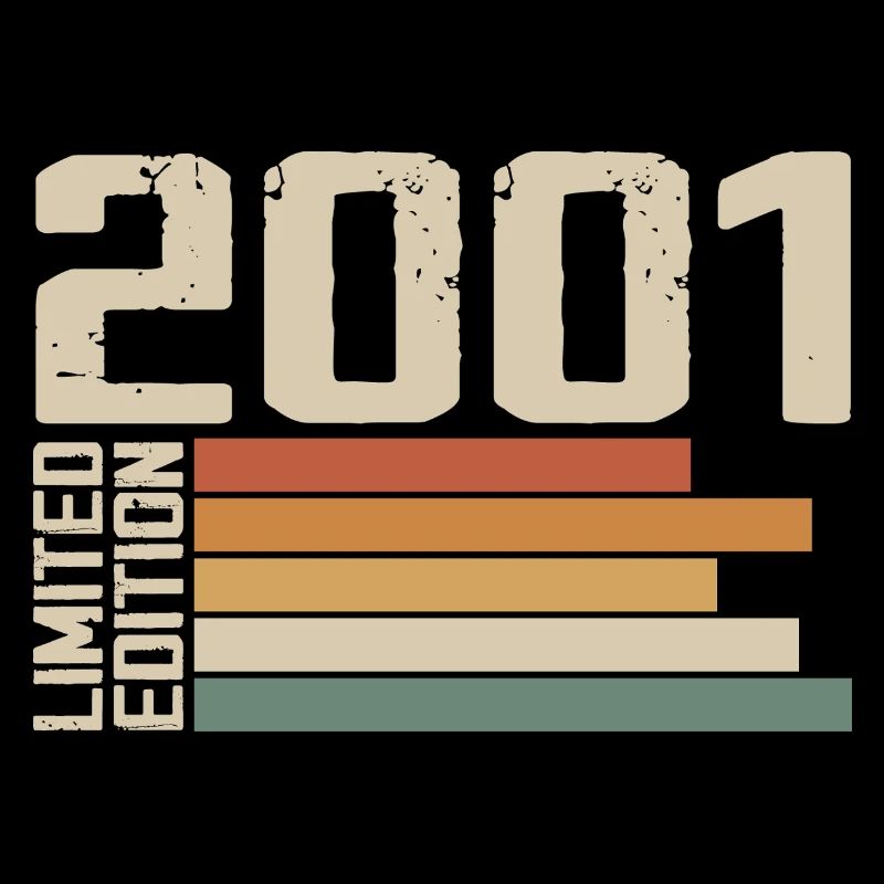 2001 Vintage - Retro 2001 Birthday Gift 2001