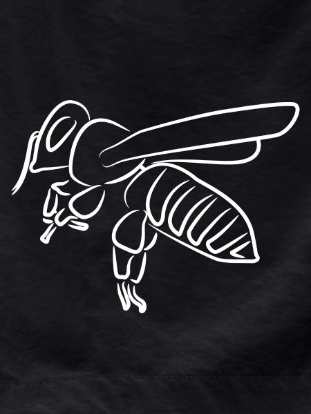 Honey Bee Drawing