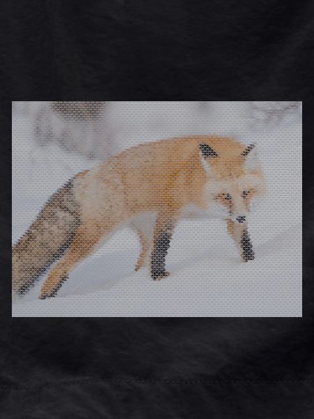 geometric fox
