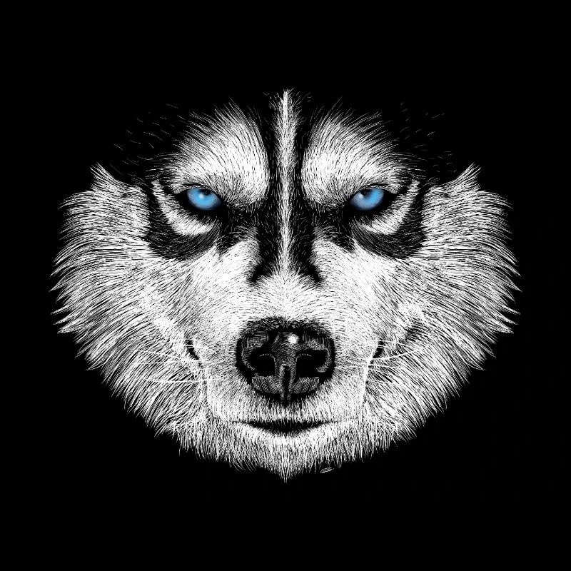 Husky