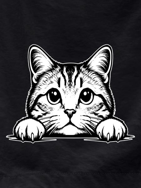 Scottish Straigh Cat
