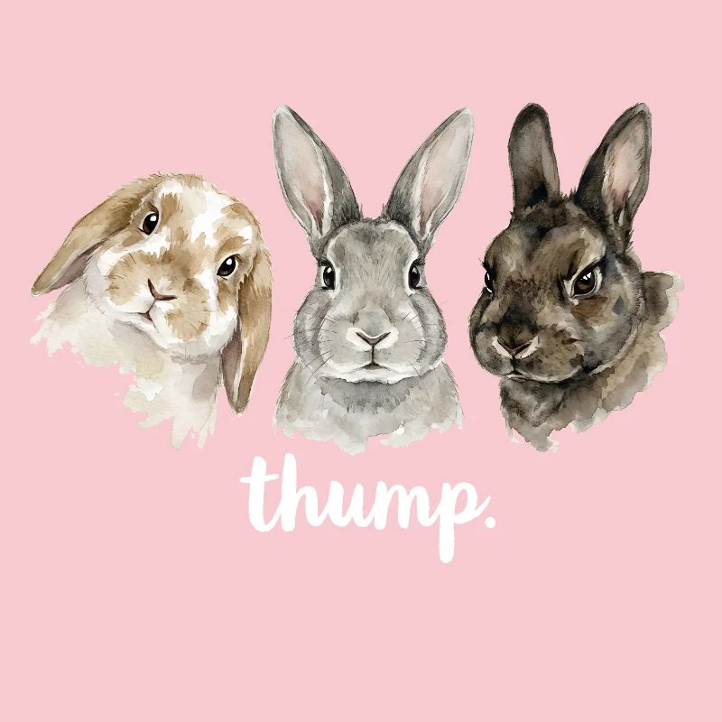 Fun rabbit knocking for rabbit lovers