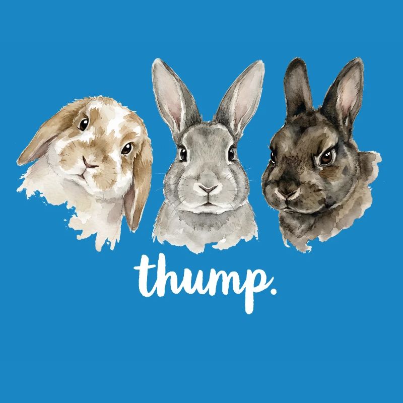 Fun rabbit knocking for rabbit lovers