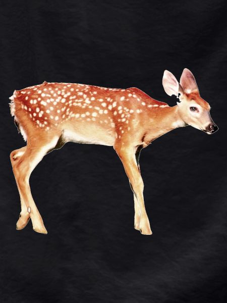 Deer Bambi