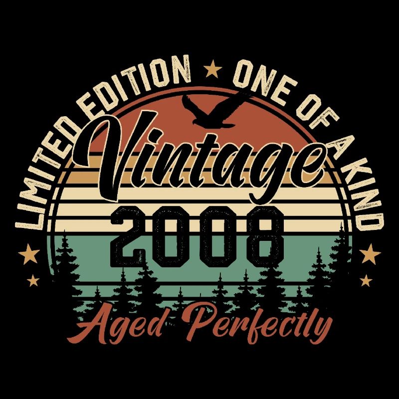 Vintage 2008 Rétro 2008 Cadeau D'anniversaire 2008