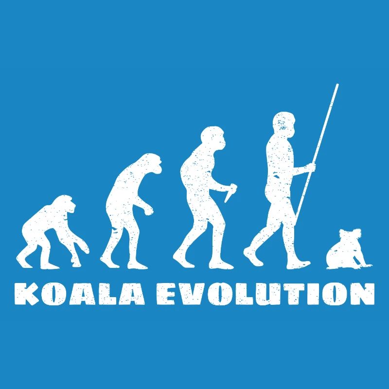 Koala Evolution