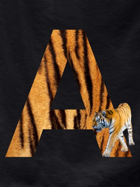 Tiger A