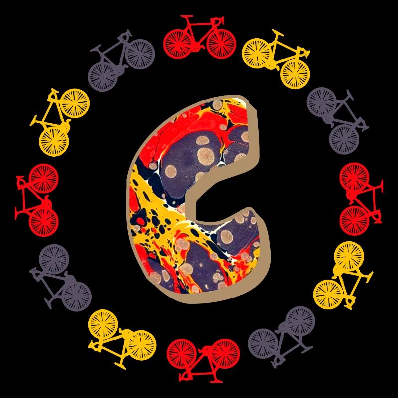 Bicycle E 202 C
