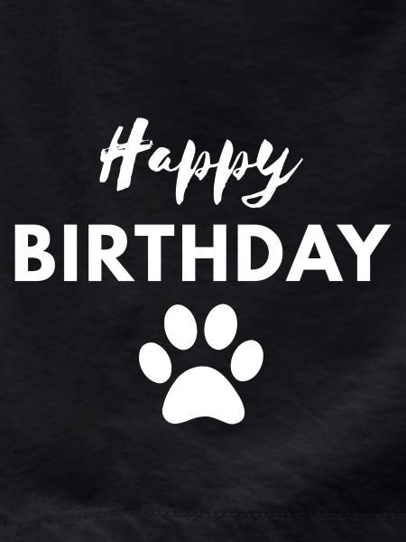 Happy Birthday dog