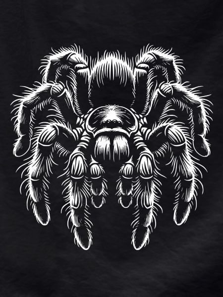 Large Hairy Tarantula Tarantula