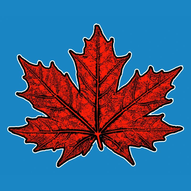 Maple / Leaf