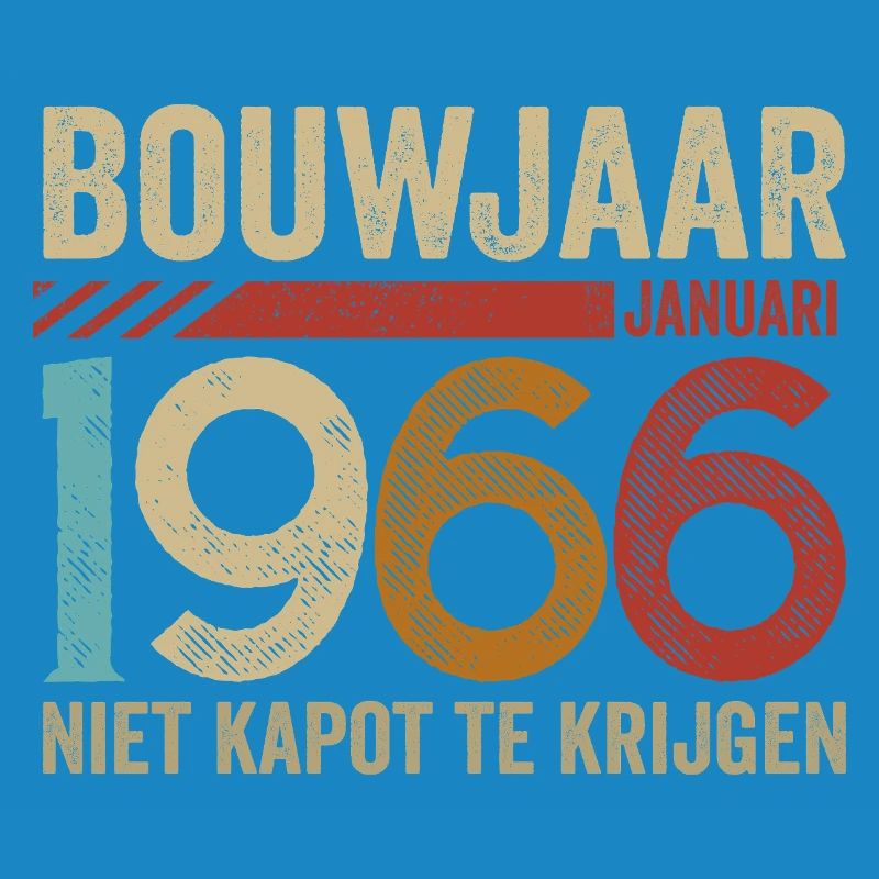 Année de construction : janvier 1966 ne peut être annulée