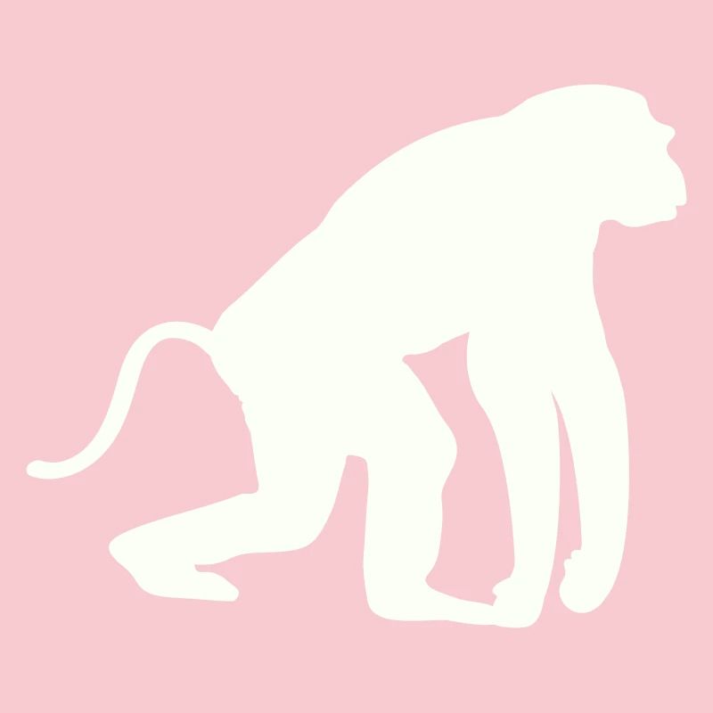 Silhouette de singe