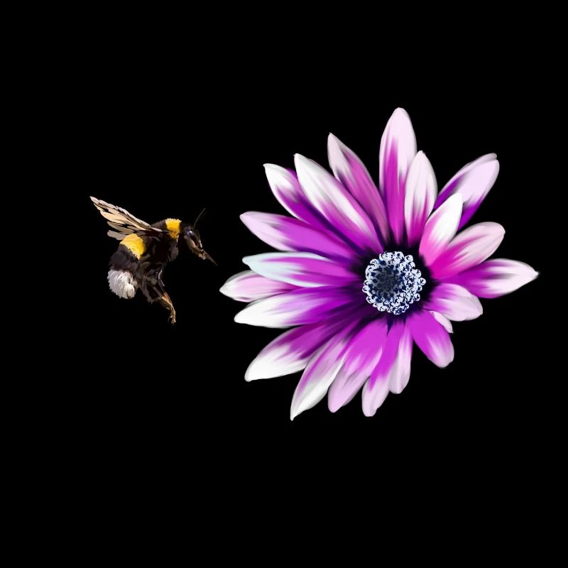 Bumblebee and flower