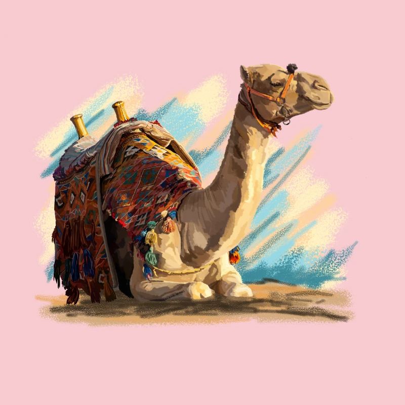 Camel