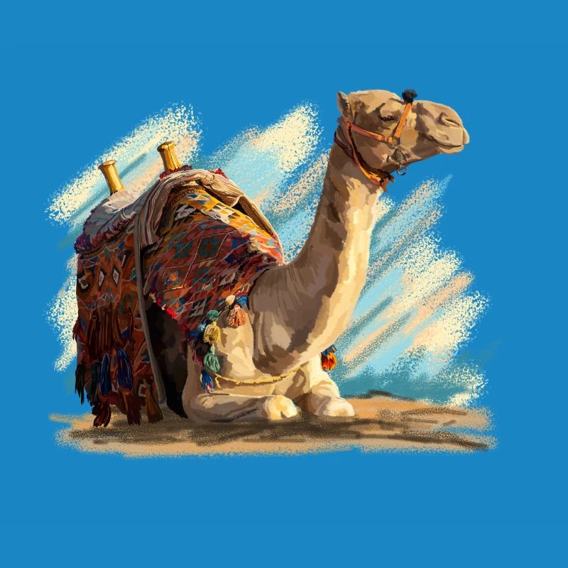 Camel