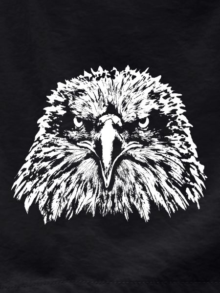 Eagle / Head / Bald Eagle