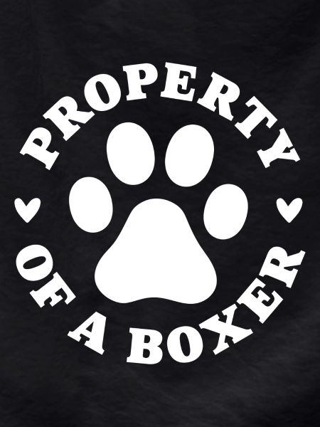 Property of a Boxer