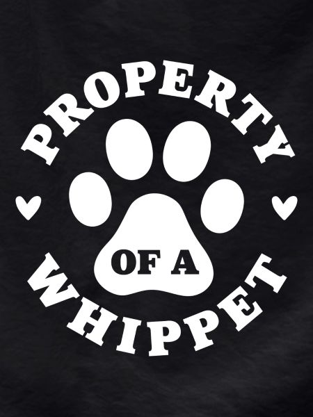 Eigentum eines Whippets