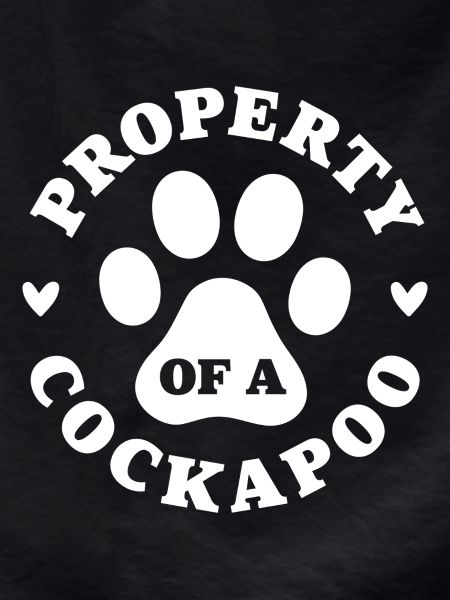 Property of a Cockapoo