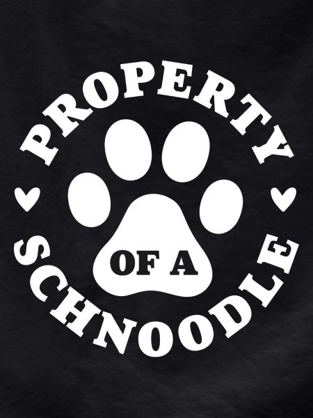 Property of a Schnoodle