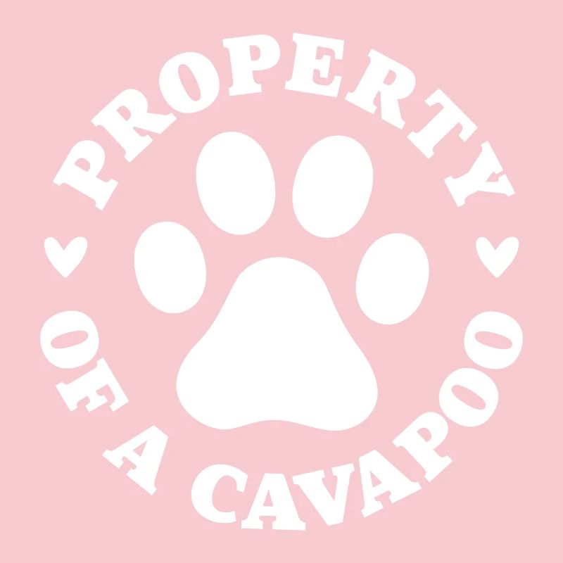 Propriété d’un Cavapoo