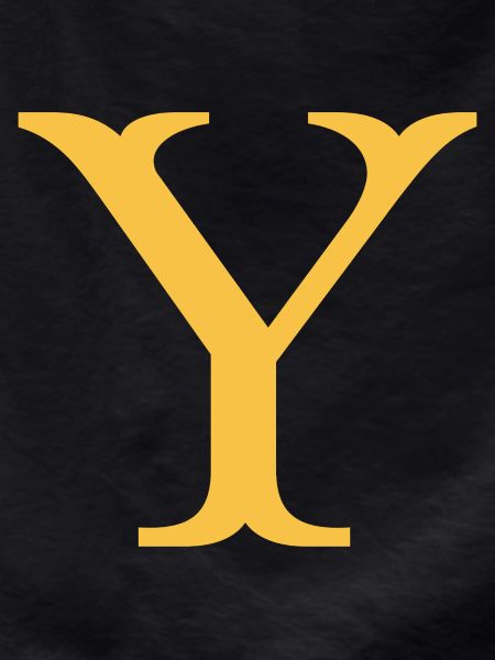 Y