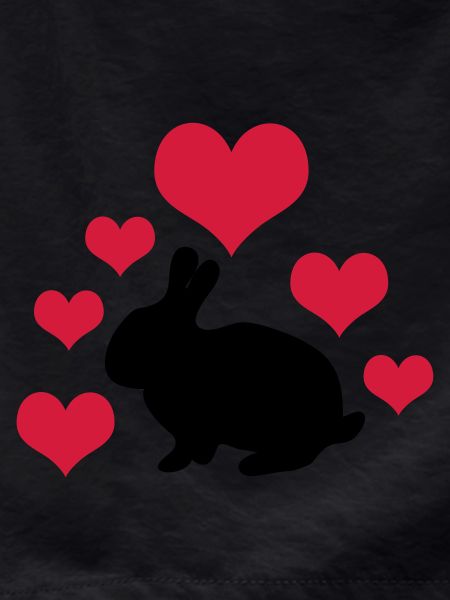 Rabbit with 6 hearts 2
