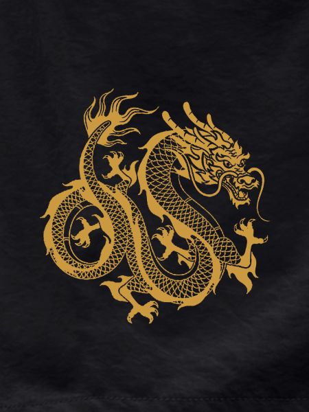 Chinese dragon
