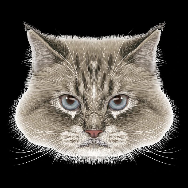 Sibirische Katze 