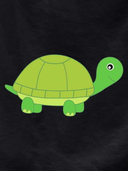 Turtle Turtles