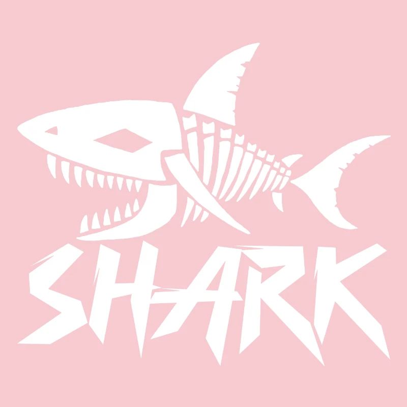 Shark skeleton