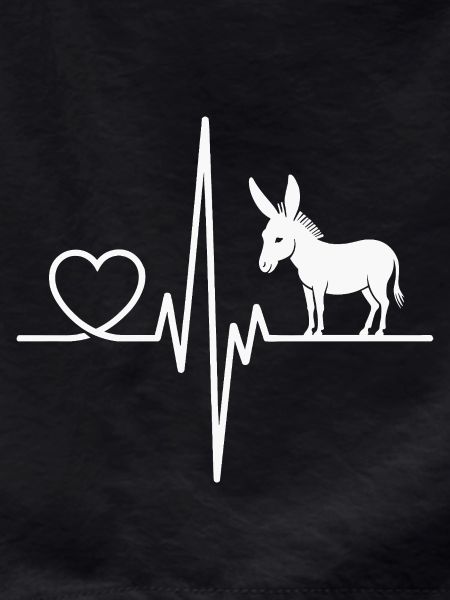 donkey