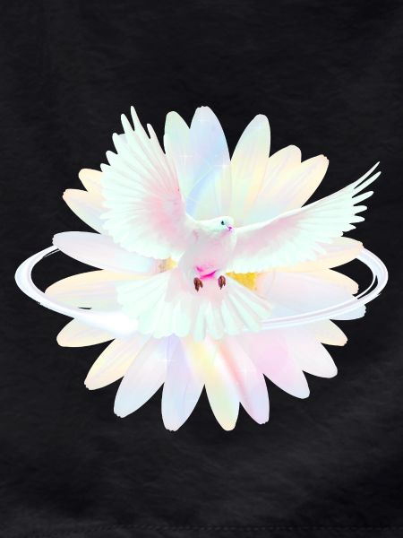 Pastel dove in rainbow light