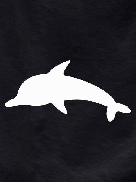 Dolphin Dolphins Shadow Figure